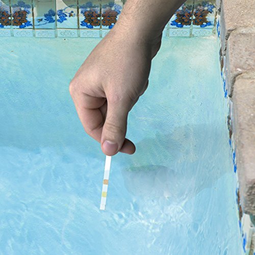 Intex 15ft X 48in Easy Set Pool Set with Filter Pump, Ladder, Ground Cloth & Pool Cover & Poolmaster 22211 Smart 4-Way Swimming Pool and Spa Water Chemistry Test Strips, 1 Pack, White and Yellow